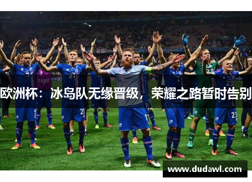 欧洲杯：冰岛队无缘晋级，荣耀之路暂时告别