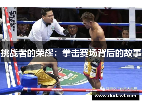 挑战者的荣耀：拳击赛场背后的故事