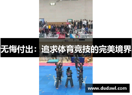 无悔付出：追求体育竞技的完美境界